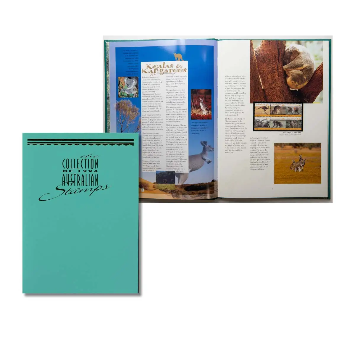 Product image 31