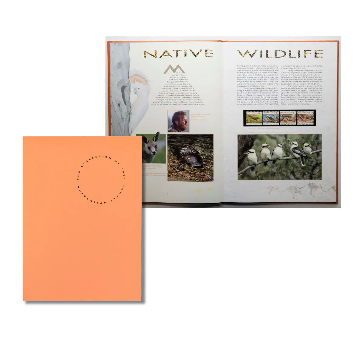 Product image 33